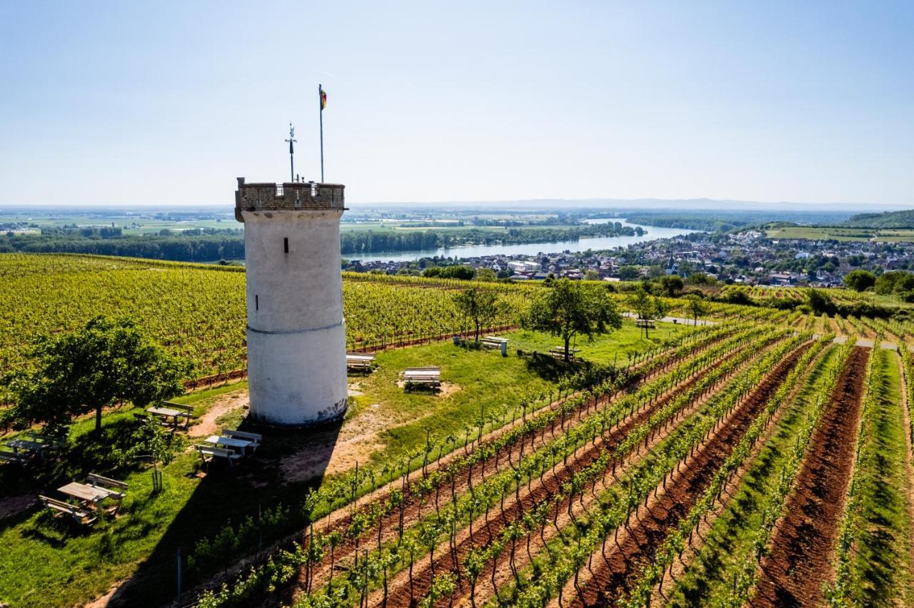 Best Western Wein- Und Parkhotel Нирштайн Экстерьер фото