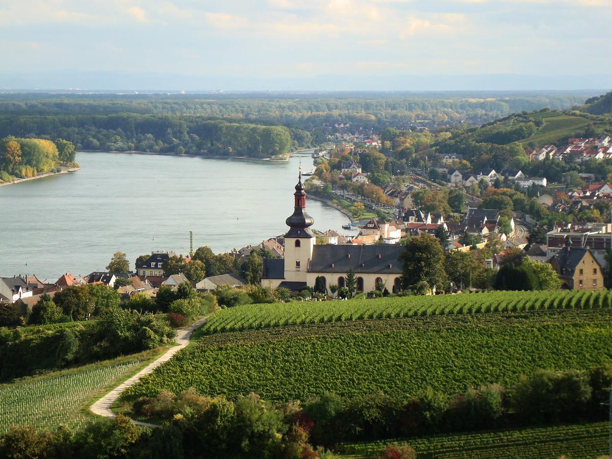 Best Western Wein- Und Parkhotel Нирштайн Экстерьер фото